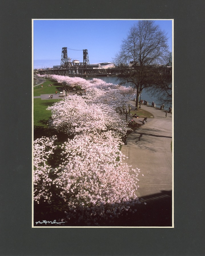 steelbspringV